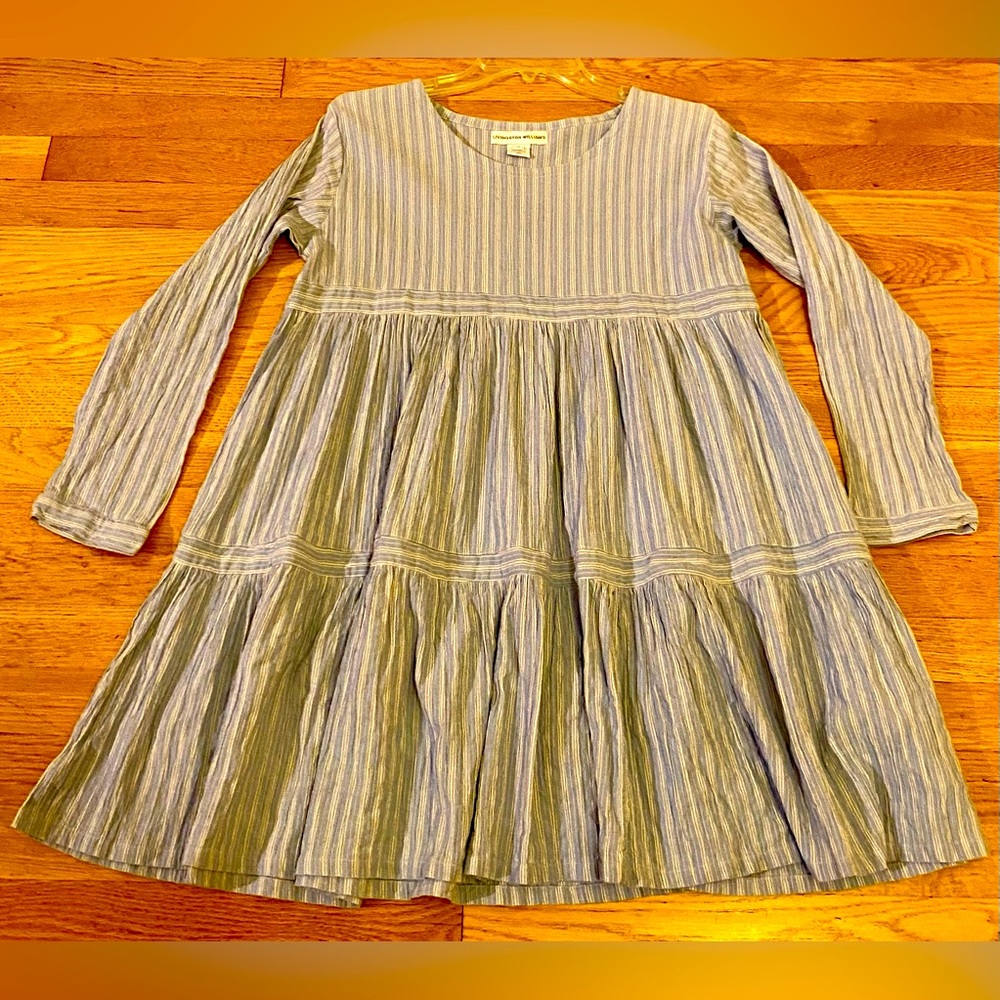 Livingston Williams Light Blue Pinstripe Top or Babydoll Dress